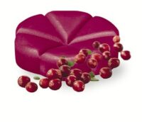 Bolsius scent chip Cranberry