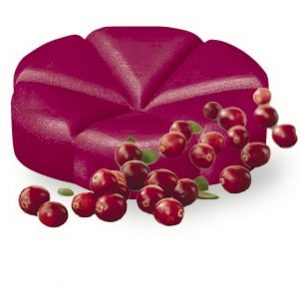 Bolsius scent chip Cranberry