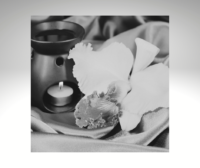 Geurbranders en wax melts