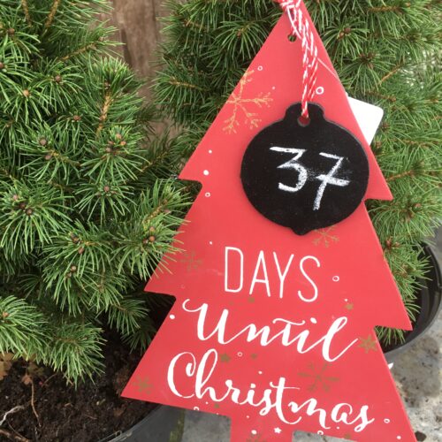 aftelkalender clayre & eef sfeerbeeld